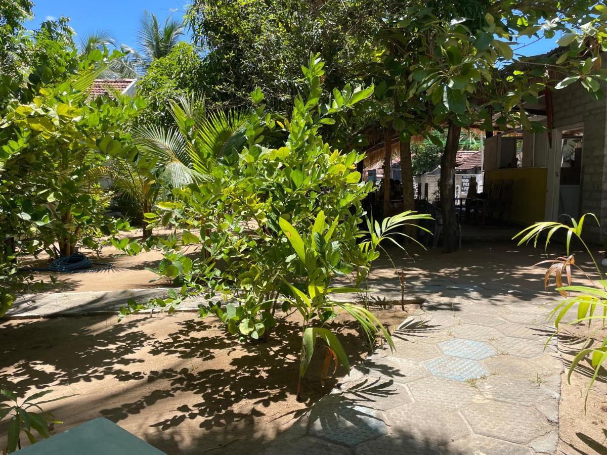 Banana Surf House Otel Arugam Bay Dış mekan fotoğraf